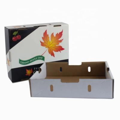 China Custom Recyclable Cardboard Gift Food Packaging Box For 5.5 Kg 11LBS Box Cardboard Recyclable Accept Corrugated Fruit for sale