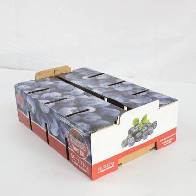 China Custom Recyclable 51b Factory Fruit Blueberry Packing Box for sale