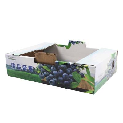 China Small Tray Packaging Paper 3ply 5kg 10kg recyclable carton for blueberry box for sale