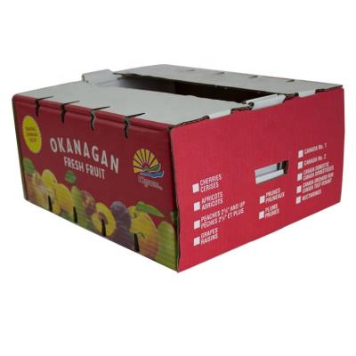 China Recyclable 3 Ply Cardboard Box Color Cardboard Fruits and Vegetables Accept Corrugated Cardboard for sale