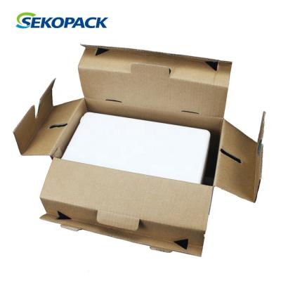 China Protect in Transport EPS Polystyrene Box Frozen Fish Packing Boxes for 9L Styrofoam Cooler Box for sale