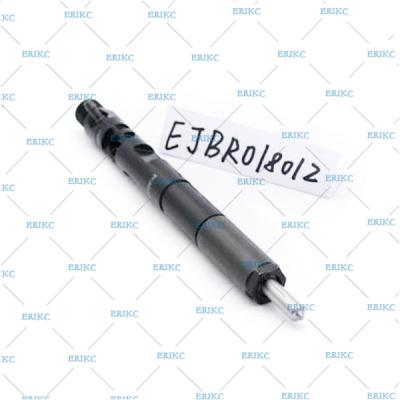 China injektor de alta presión EJB diesel R01801Z/EJBR0 1801Z de Delfos EJBR01801Z del inyector 8200049873) (para NISSAN RENAULT en venta