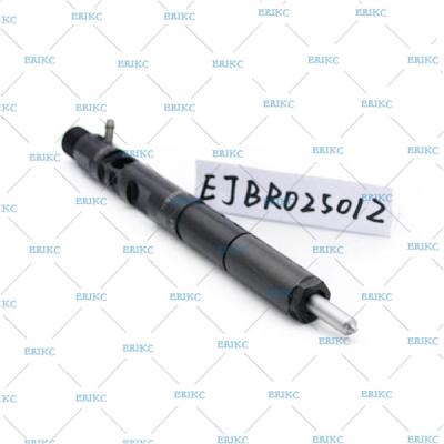 China delphi diesel injector EJBR02501Z delphi common rail injector EJB R02501Z original delphi injector EJBR0 2501Z for sale