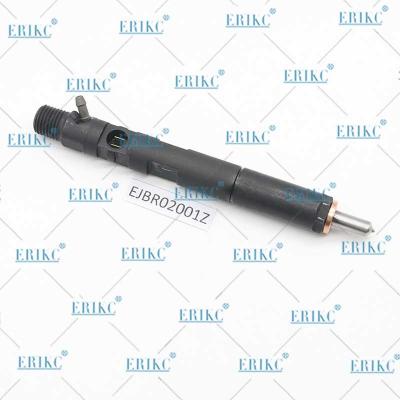 China ERIKC EJBR02001Z Diesel Fuel Injector EJB R02001Z Auto Oil Injecton EJBR0 2001Z Jet Injector en venta