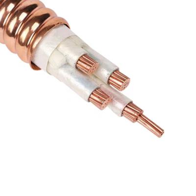 China low voltage Mineral Insulated Power Cable Copper+PVC   0.6/1KV for sale