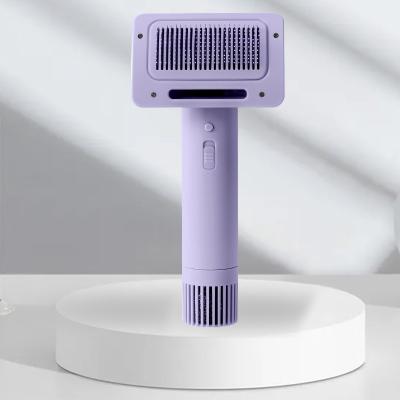 China Pet Hair Dryer 2-In-1 Pet Grooming Hair Dryer New Upgraded Low Noise Viable Portable Comb With Mold Slicker Brush for sale