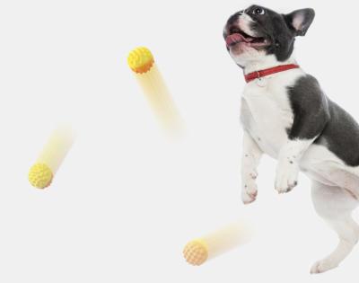 China New Sustainable Explosive Dog Toys Training Ball Sounding Interacting Toy Toothbrush for sale