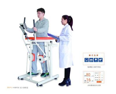 China Clinic and Rehab Center Hospital Home Gait Training Equipment Gait Oscillation Gait Trainer for Walking Rehabilitation for sale