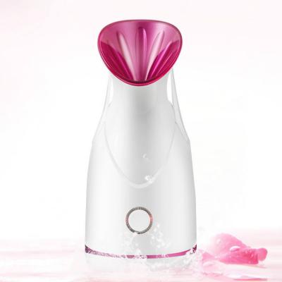 China Beauty Instrument Electric Warm Mist Facial Steamer Nano Ionic Flame DEEP CLEANSING Nano Ionic Flame for sale