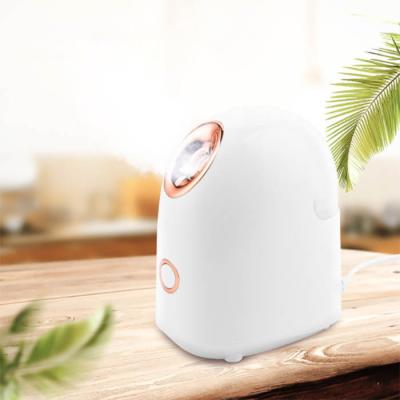 China 2021 DEEP CLEANING Desktop Use Facial Humidifier Beauty Face Sprayer Nano Nano Ionic Facial Steamer for sale