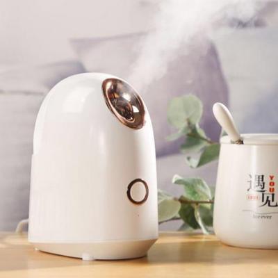 China Mini Custom Ionic 150Ml Nano Mist Sprayer Ozone Professional Portable Spa Face Machine DEEP CLEANSING Facial Steamer for sale