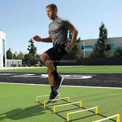 China PP 2in1 6,8,10,12 Rungs Speed ​​Adjustable Agility Ladder Soccer Training Equipment for sale