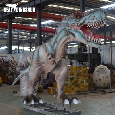 China Realistic Fiberglass Art Size Realistic Fiberglass Dinosaur Statue for sale