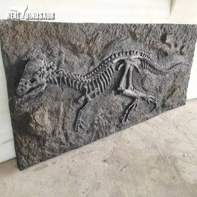 China Museum Dinosaur Skeleton Jurassic World Dinosaur Fossil Skeleton for sale