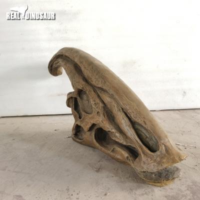 China Museum Fiberglass Dinosaur Reproduction Parasaurolophus Skull for sale