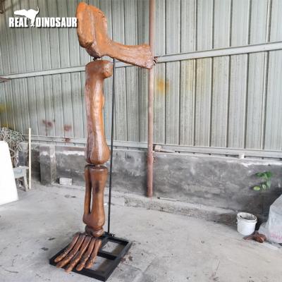 China Museum Dinosaur Leg Bone Skeleton for Theme Park for sale