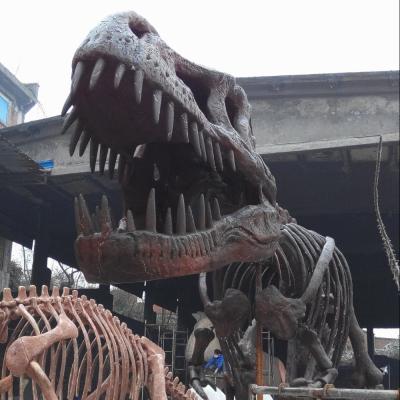 China Museum Original Life Size Dinosaur Fossil Skeleton Model for sale