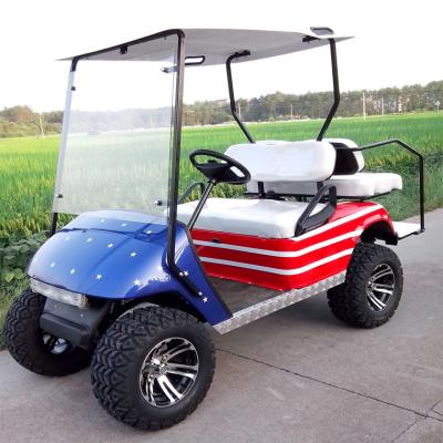 China 2 seater electric golf car  for sale