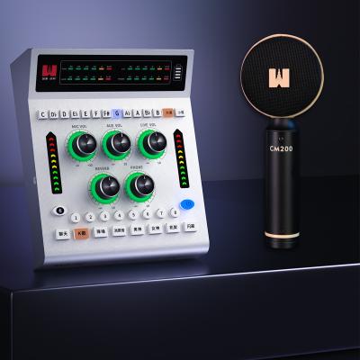 China Immersive Metal+ABS Surround - Sound Card Set With Microphone Card Sound Studio With EQ Control for sale