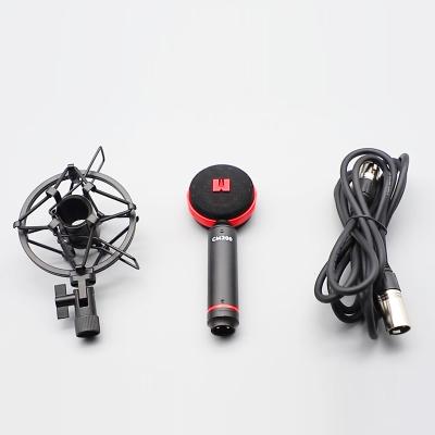 China Broadcast-quality handheld xlr microphone dynamic microphone wired rich, balanced sound for sale