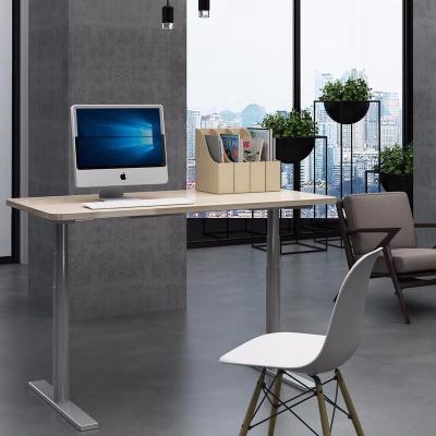 China OEM Weworth Electric Lifting (Height) Computer Desk Standing Desk Dual Height Adjustable Motor for sale