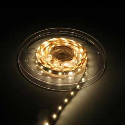 China Residential/Commercial/Retail/Hospitality/Landscape 12V Waterproof 24V Smart 60 LED Flexible Led Strip Lights 3528 for sale