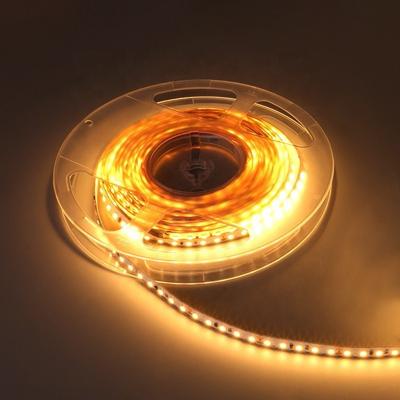 China Residential/Commercial/Retail/Hospitality/Landscape DC24V 120LED 20Meters Led Strip Light Indoor Waterproof Flexible Light Strip for sale