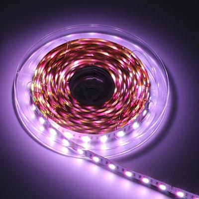 China Residential/Commercial/Retail/Hospitality/Landscape Color 4 in 1 60Leds Digital 5050 RGBW Led Strip Rope Light Waterproof 24V for sale