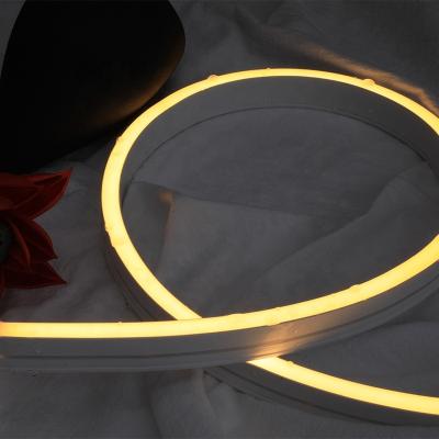 China Garden/Home/Outdoor/Landscape/Residential IP67 Flexible Custom Led Neon Strip Light DC 24V 120 LEDs SMD 2835 Waterproof for sale