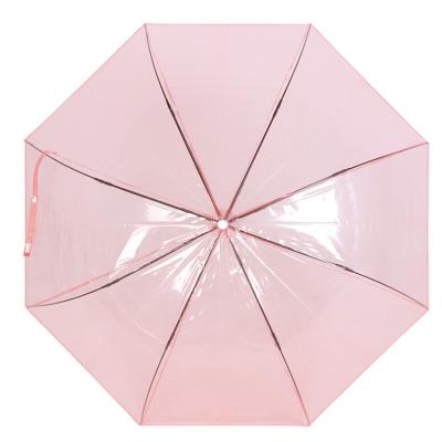 China Fashion POE CLASSIC Colorful Straight Clear Umbrella Transparent Umbrella for sale