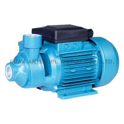 China Clean Water Shimge Peripheral Pump PM45 for Clean Water Garden Farm Rain Tank Irrigation for sale