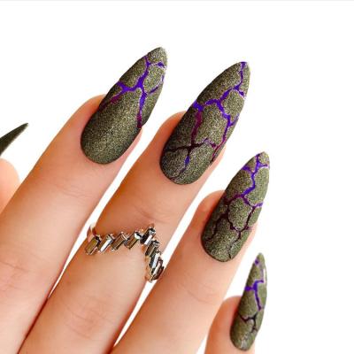 China Easy Apply Customize Outdoor Long Tortoise Sliver Glitter Powder Luxury Stiletto For Splitting Fake Nails for sale