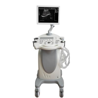 China Metal Trolley Type Black And White Ultrasound System For Medical Ultrasounic Medical Instruments BW Diagnostic Ultrasound Scanner for sale