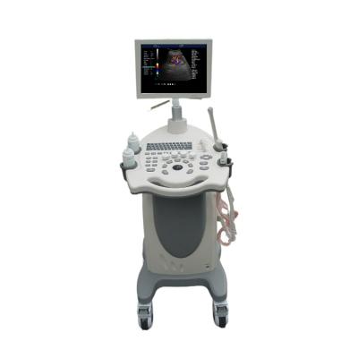 China Metal Top Sale Quality Guaranteed Trolley Ultrasound Machine for sale