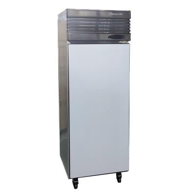 China Commercial Single-temperature Redbowl Stainless Steel Kitchen Fridge Refrigerators Freezers for sale