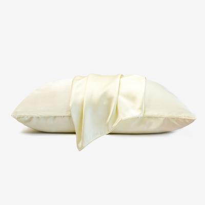 China Sustainable High Quality Plain Dyed Eco - Friendly Pure Mulberry Silk Pillow Case For Hair With Box for sale