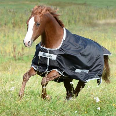 China China Factory Durable Horse Print Jacket Equestrian Clothing for sale