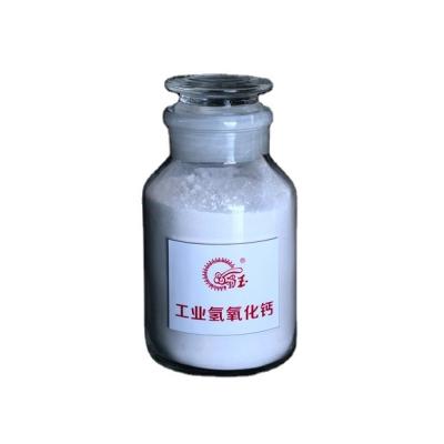 China Ca(OH)2â‰¥95% Hot New Products Industrial Calcium Hydroxide Granules Prevest Denpro Calplus Calcium Hydroxide for sale