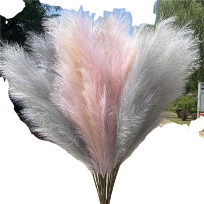 China Beautiful L-hot sale colorful artificial flower pampas silk plastic flowers for wedding decoration for sale