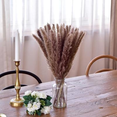 China Designs Small Pampas Grass Plants Natural Dry Package L-009 | Home Business Wedding Decor | 30PCS dry flowers for sale