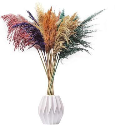 China Beautiful L-005Natural Colorful Dried Pampas Grass Decor39 15pcs. Tall fluffy stems for decorations and living room flower arrangement for sale