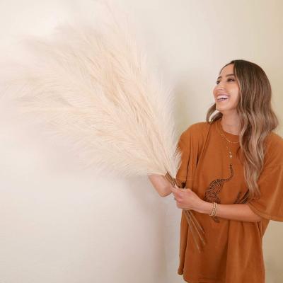 China H-070 Designs Factory Customized Branches Large Artificial Pampas Pampas Grass For 18 Branch Faux Pampas Grass for sale