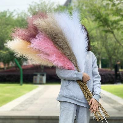 China L-030 Designs The World's Best Selling Faux Pampas Grass Wedding Family Party Decorations for sale