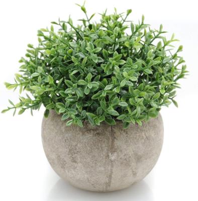 China Outdoor Indoor Decoration Mini Plastic Artificial Plants Grass in the Pot for Home Decor (Green) for sale