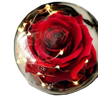 China Designs L-060 Beautiful and beastful ball rose rose in magic red silk, with falling petals in a light dome for sale