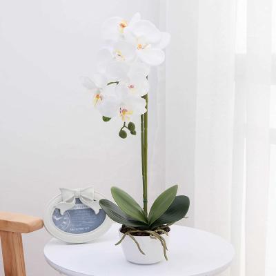 China Artificial Phalaenopsis Silk Flower Arrangement Orchid Flowers For Wedding Party Dining Table Centerpiece Decor White C002 for sale