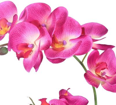 China Purple Artificial Vivid Orchid Flower Arrangement Phalaenopsis Flower Pot For Home Office Room Decorations C021 for sale