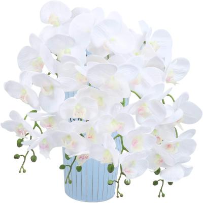 China Eco - Friendly Artificial Phalaenopsis Flowers Branches Real Touch Orchids Flowers For Home Office Wedding Decoration for sale