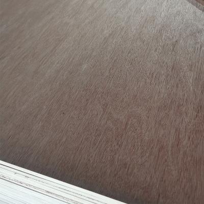 China Low cost performance contemporary hot selling new products high price 4mm plywood for sale for sale