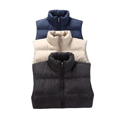 China Multicolor Anti-wrinkle Polyester Customized Down Vest Men's Winter Thin Vest Jacket Spring and Autumn Men's Vest à venda